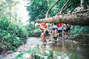 BIB: 
                            <button type="button" onclick="openModal(25452464)" class="btn btn-primary btn-sm float-right btn-popup" data-toggle="modal" data-target=".modal-high-quality">
                        <i class="fas fa-shopping-cart"></i> Add to Cart
                    </button>
                                            <button type="button" onclick="isThisMe(25452464, true)" class="btn btn-success btn-sm float-right btn-popup btn-isme hidden" data-toggle="tooltip" data-placement="bottom" title="นี่คือรูปของคุณใช่ไหม คลิกที่นี่เพื่อเอาเข้าอัลบั้ม">
                        <i class="fas fa-plus"></i> Add to album
                    </button>
                    <button type="button" onclick="isThisMe(25452464, false)" class="btn btn-warning btn-sm float-right btn-popup btn-isnotme hidden">
                        <i class="fas fa-ban"></i> Remove from album
                    </button>